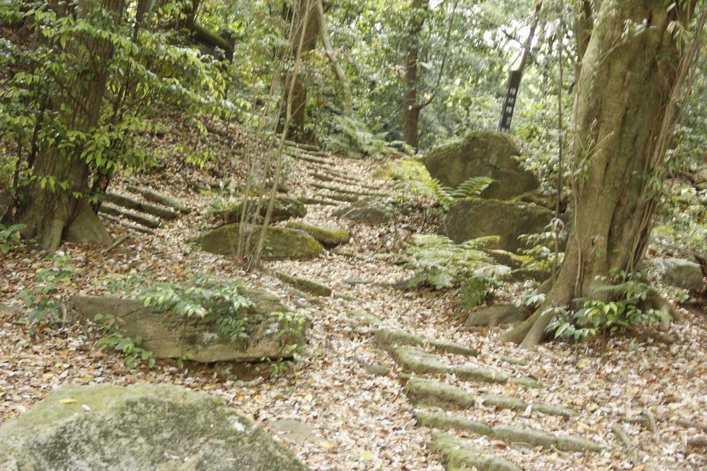 Minshuku Michiyasou Hotel Kirishima Zewnętrze zdjęcie